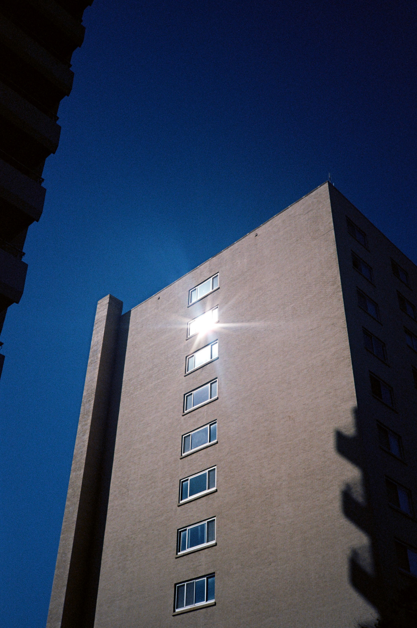 when the money goes, will the honey stay? - Image 96