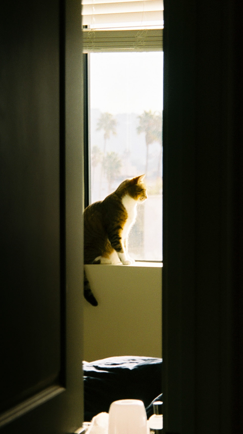 take me all the way - Image 44