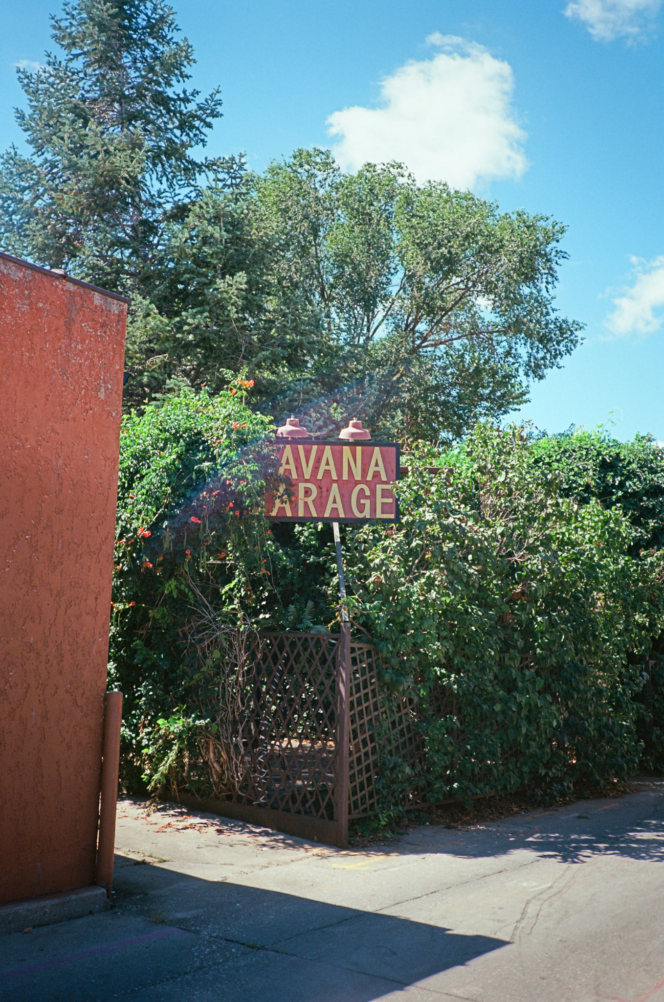 they'll never take the joy from us - Image 50