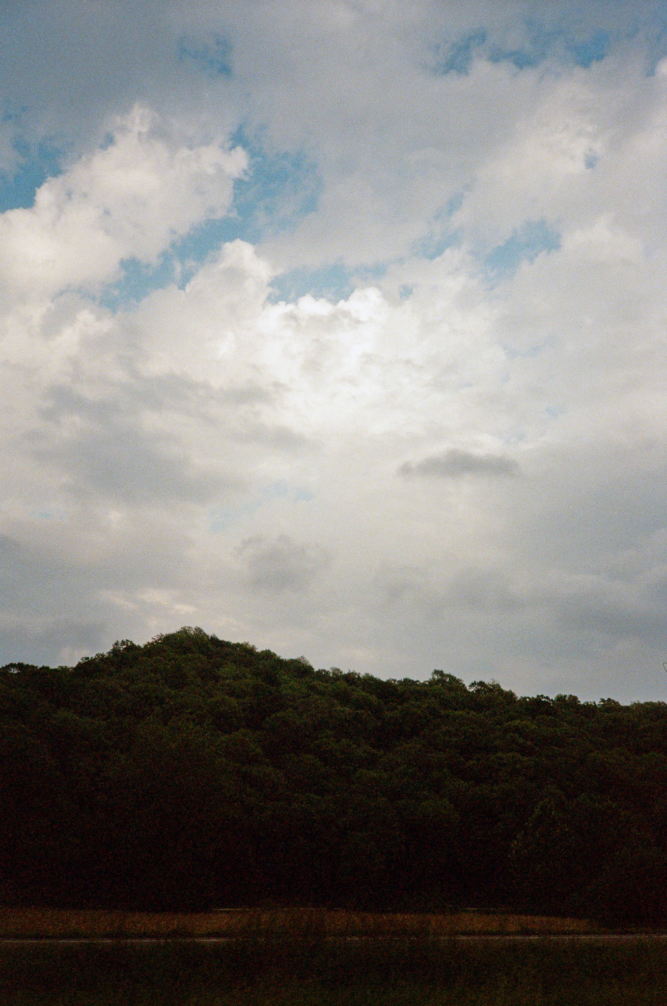 they'll never take the joy from us - Image 65