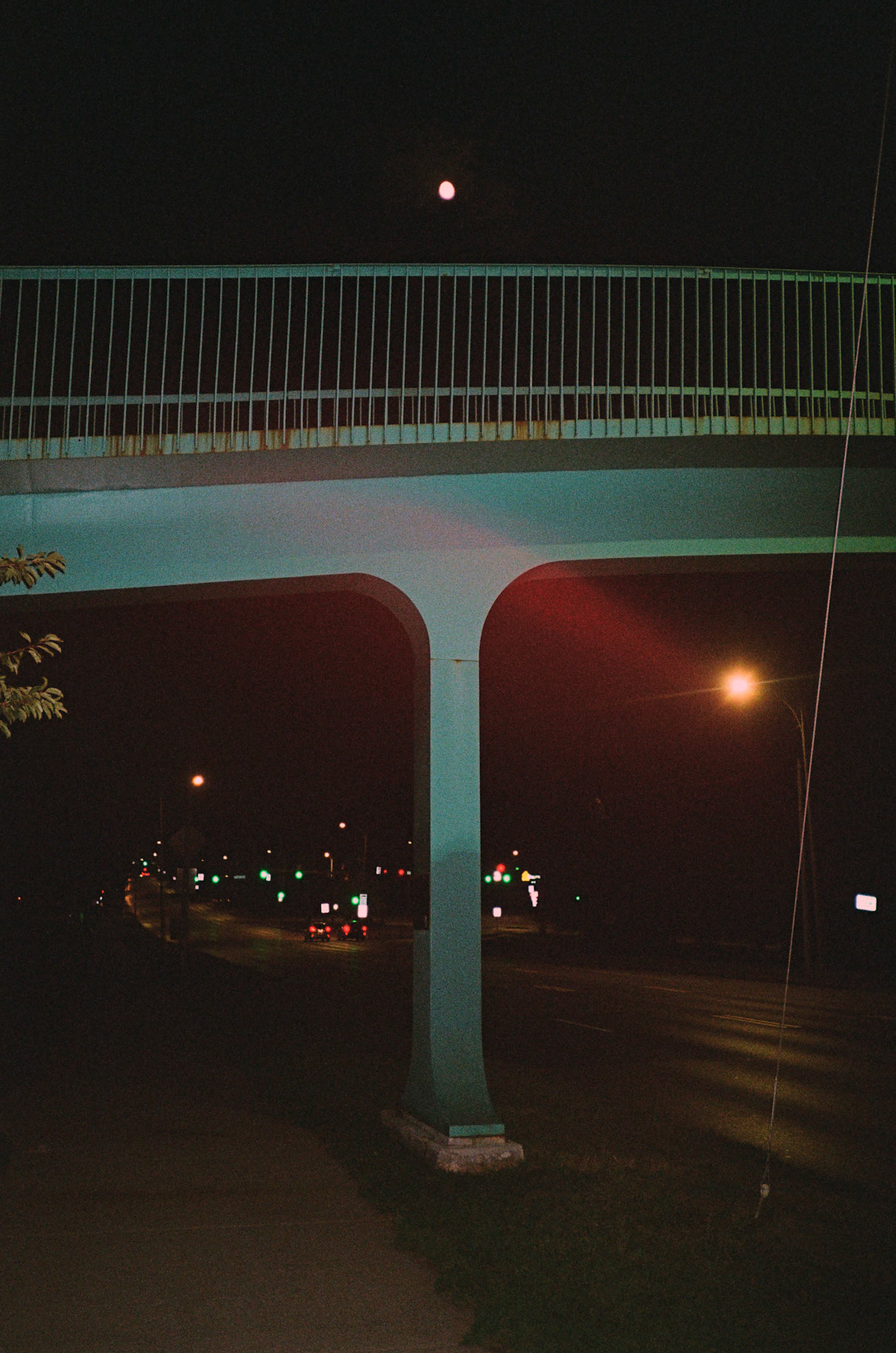 they'll never take the joy from us - Image 51