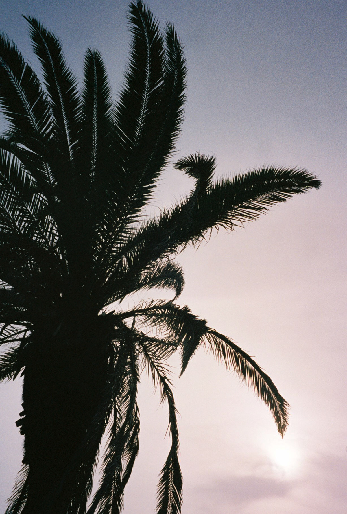 take me all the way - Image 46