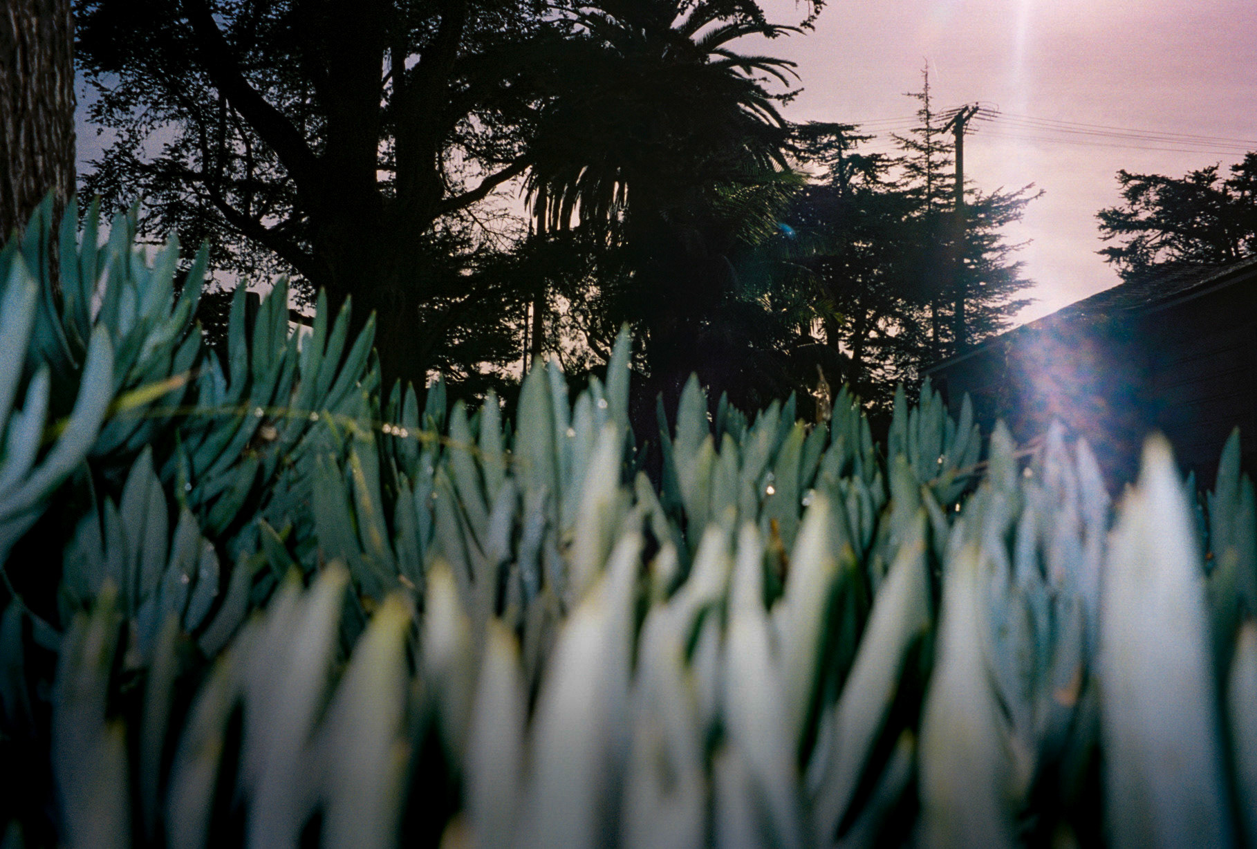 take me all the way - Image 33