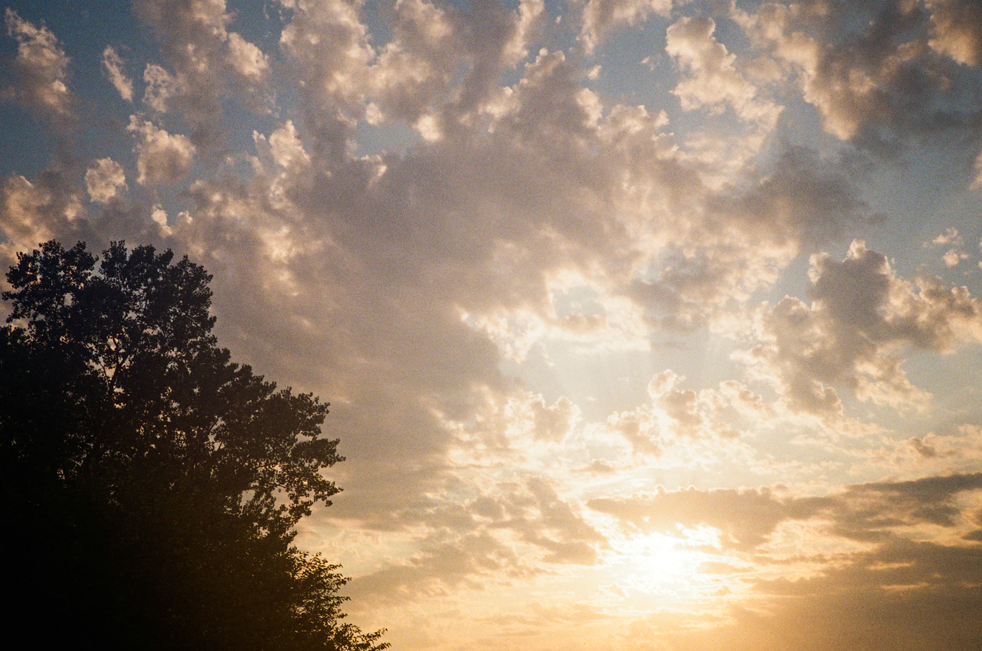 how fast can it go? - Image 24