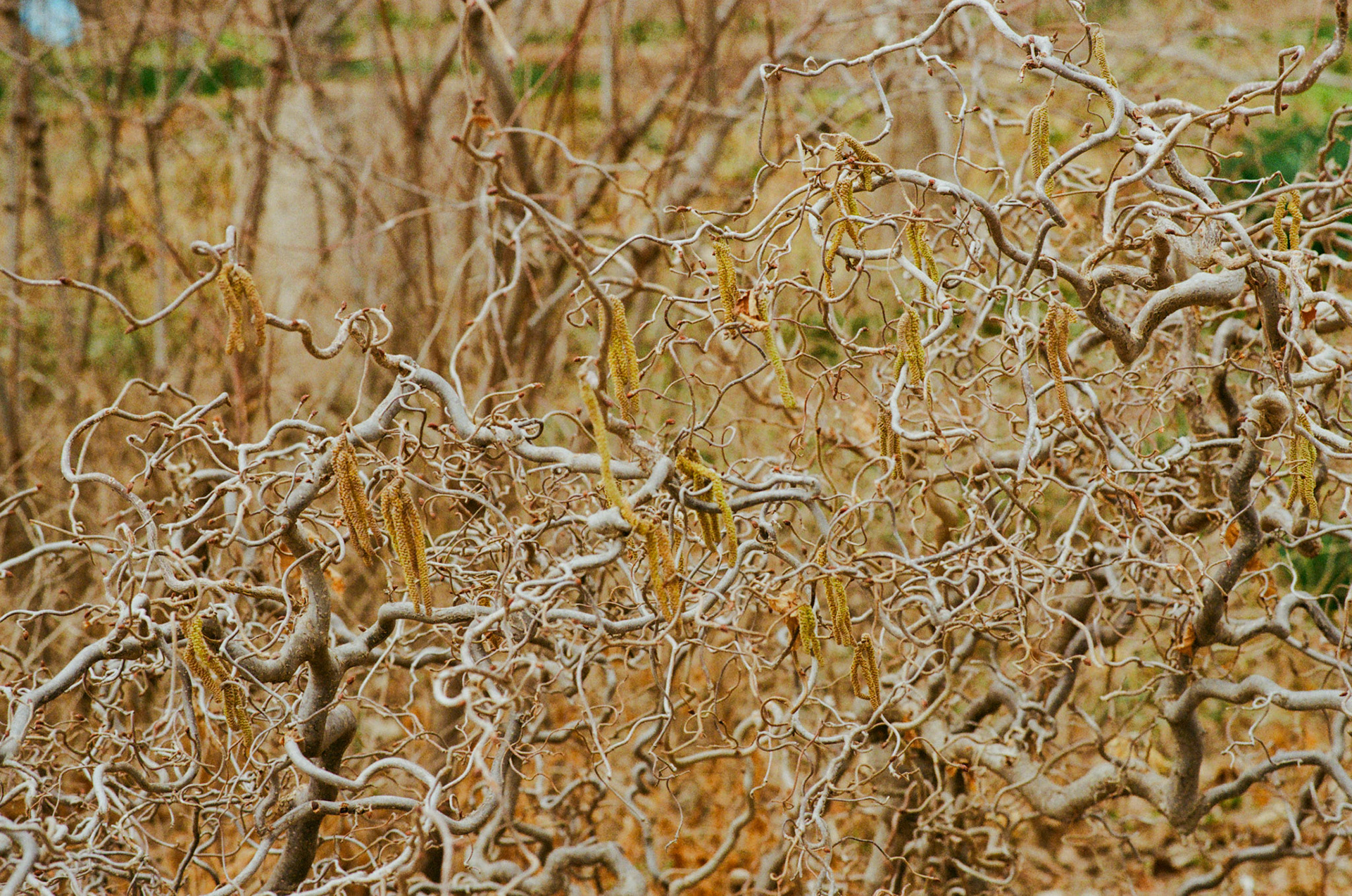 for me, don't change - Image 17