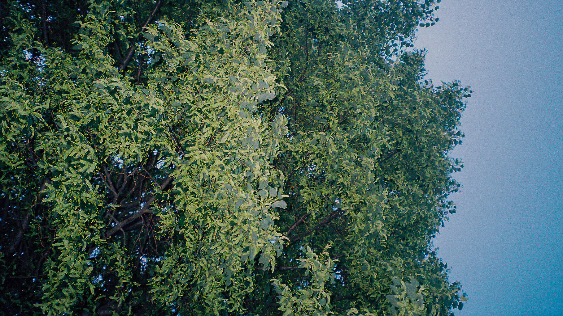 hands in the air if you made it - Image 50