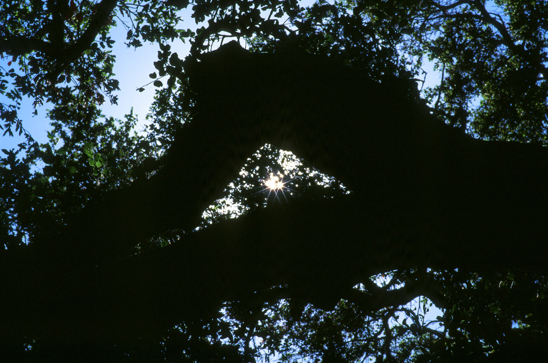 i guess we just go get 'em - Image 50