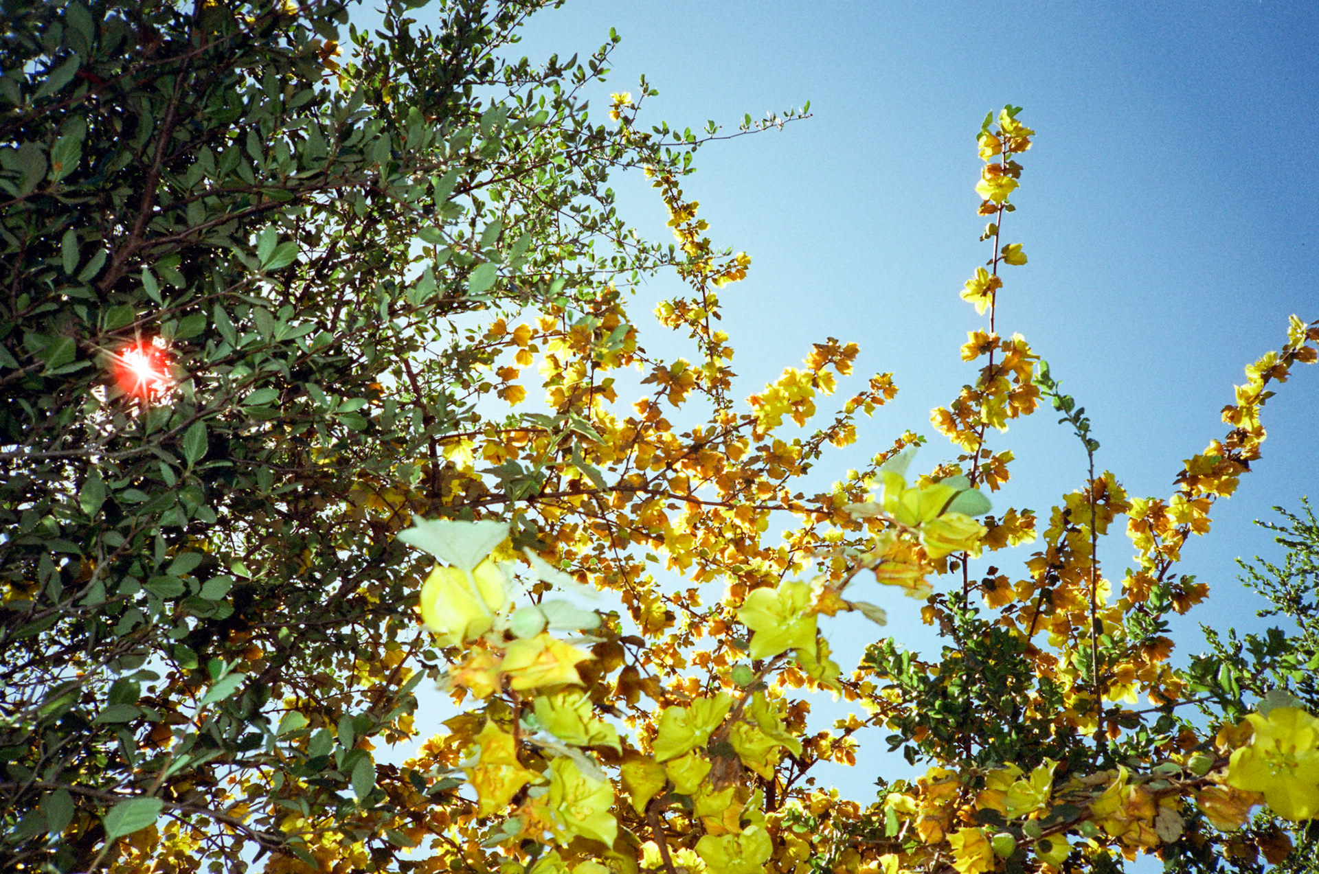 i guess we just go get 'em - Image 117