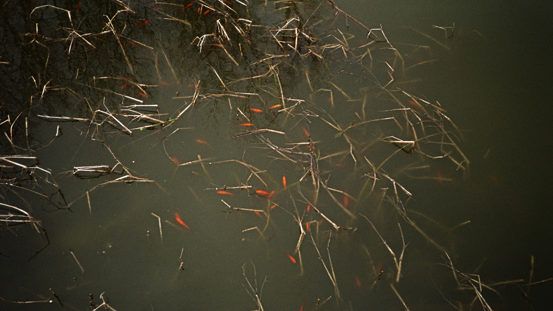 for me, don't change - Image 4