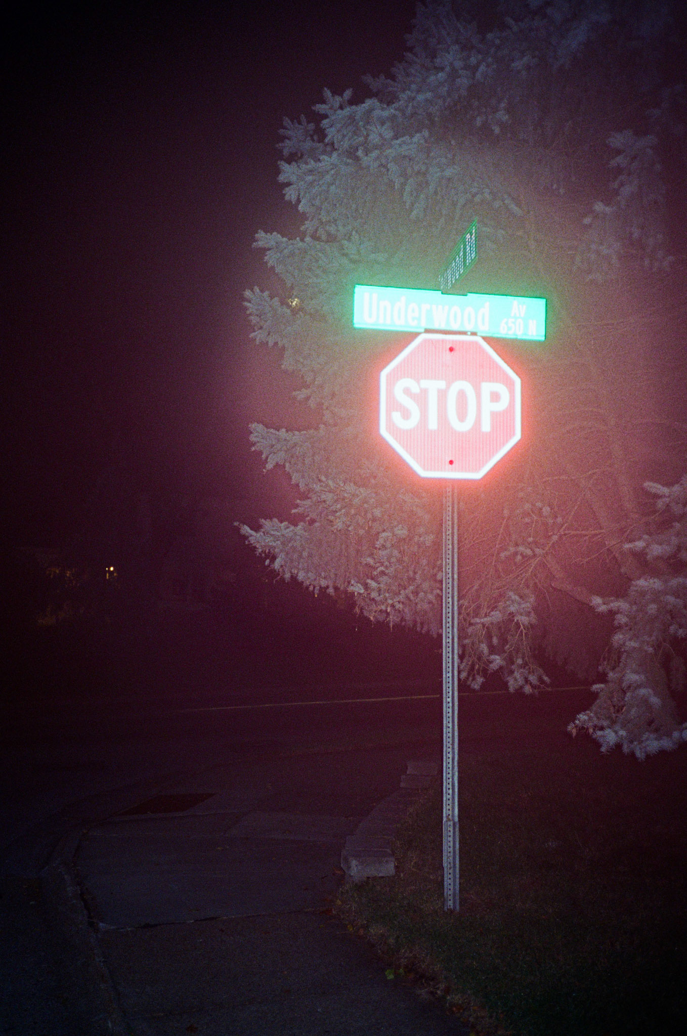 they'll never take the joy from us - Image 56