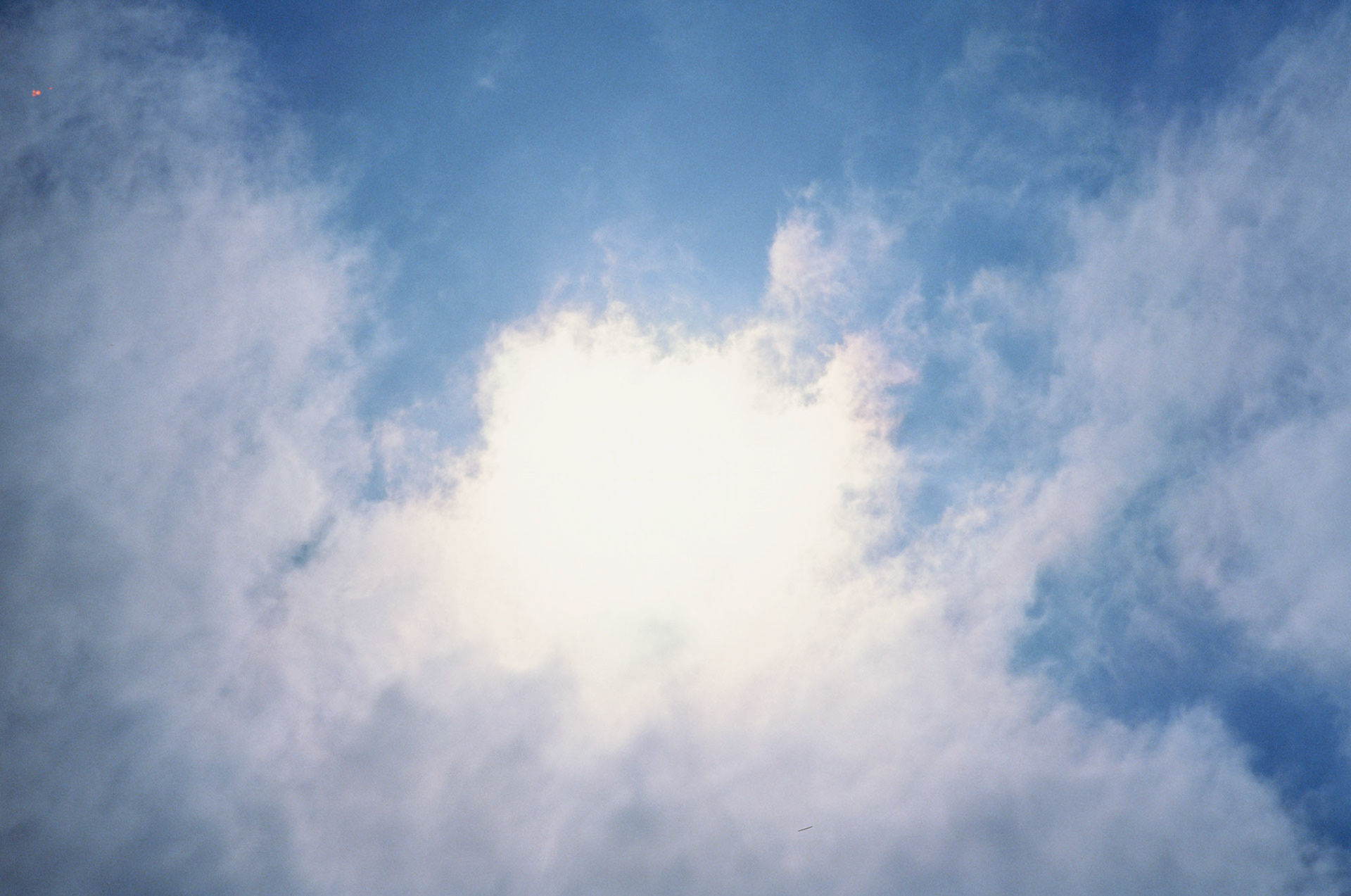 i guess we just go get 'em - Image 66