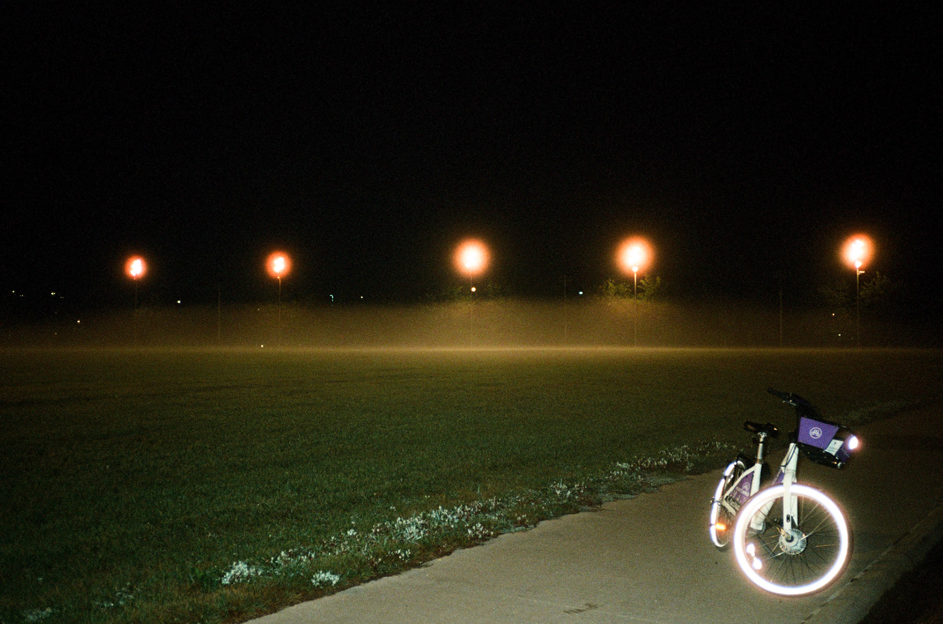 they'll never take the joy from us - Image 8