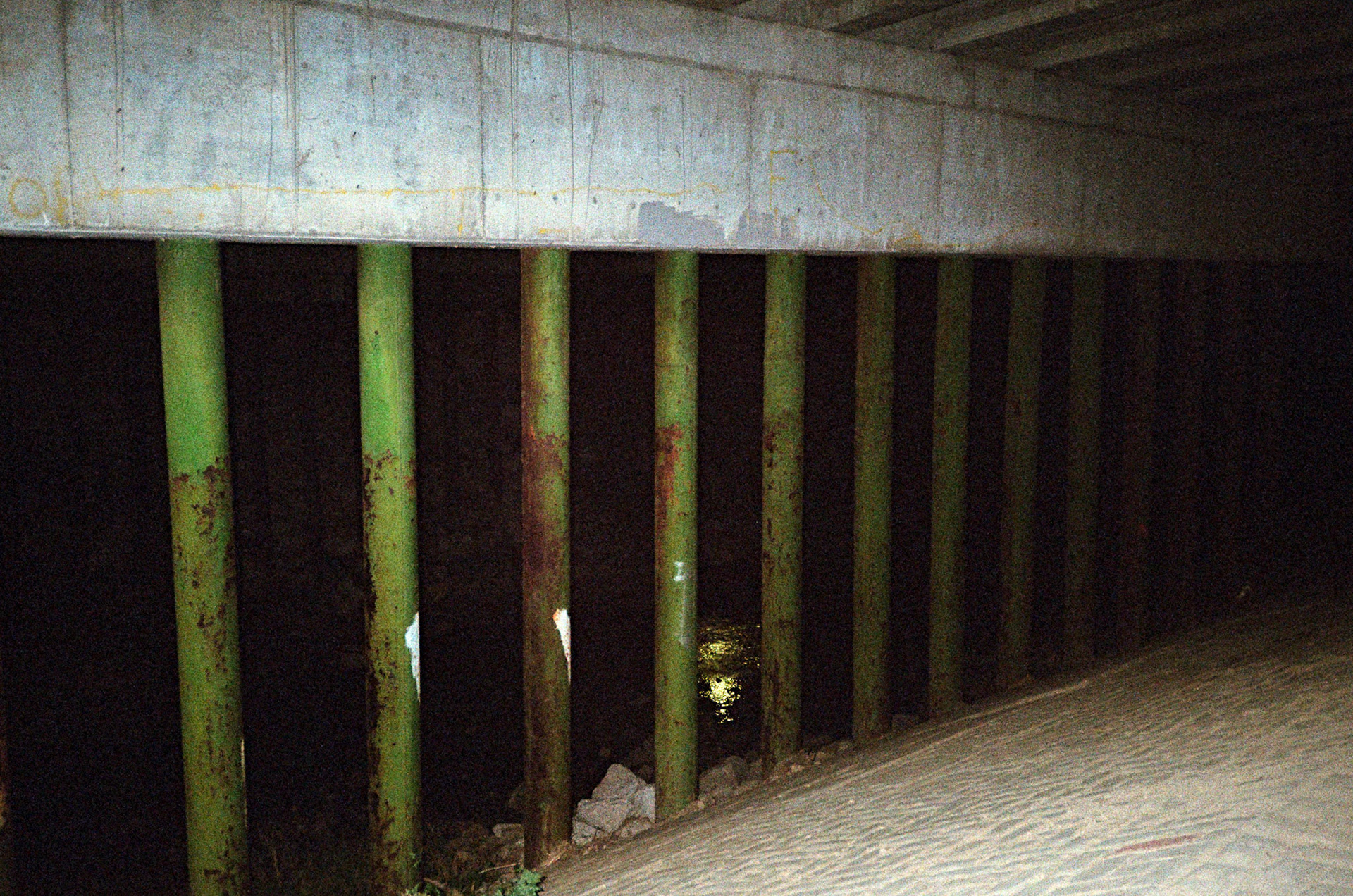 they'll never take the joy from us - Image 40