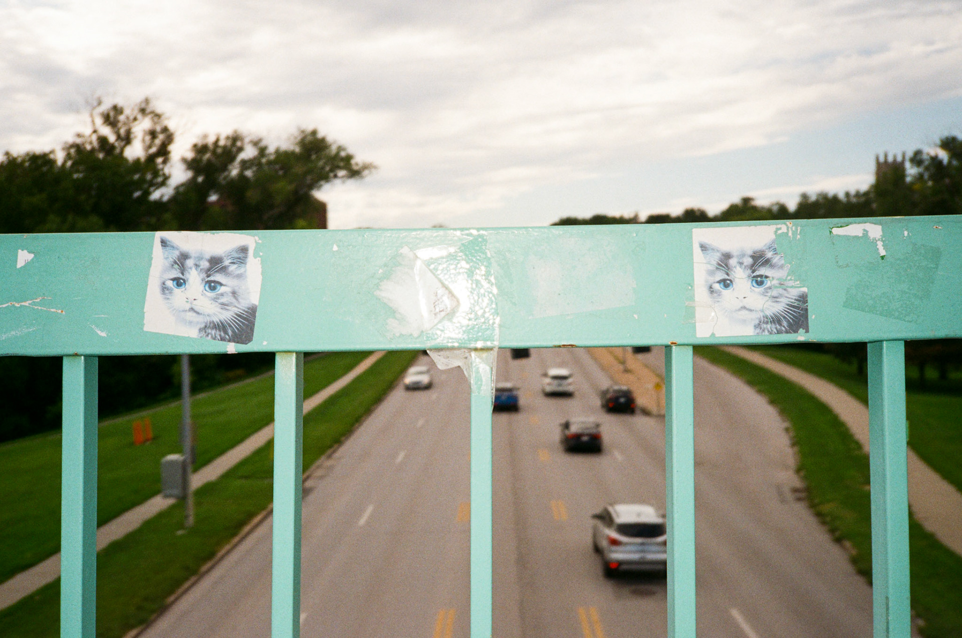 how fast can it go? - Image 8