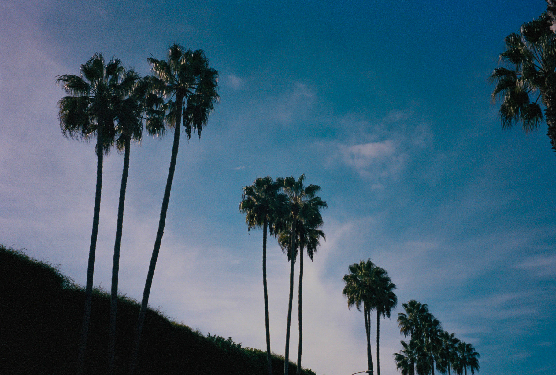 take me all the way - Image 28