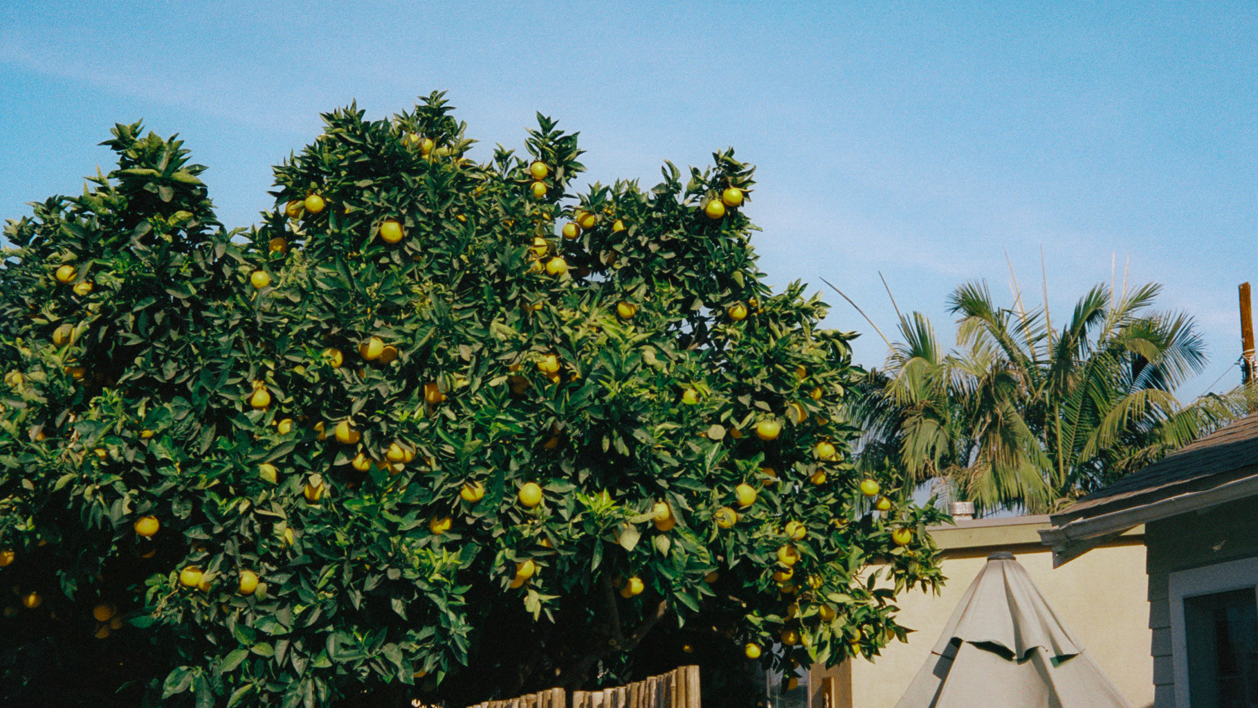 take me all the way - Image 7