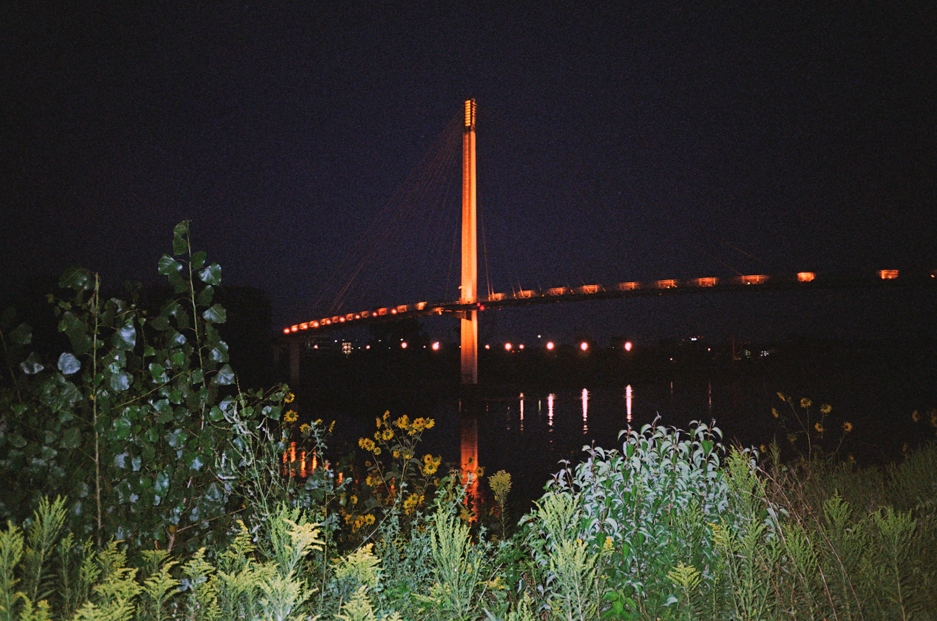 they'll never take the joy from us - Image 44