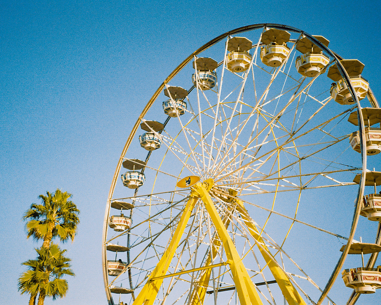 who you love? - Image 9