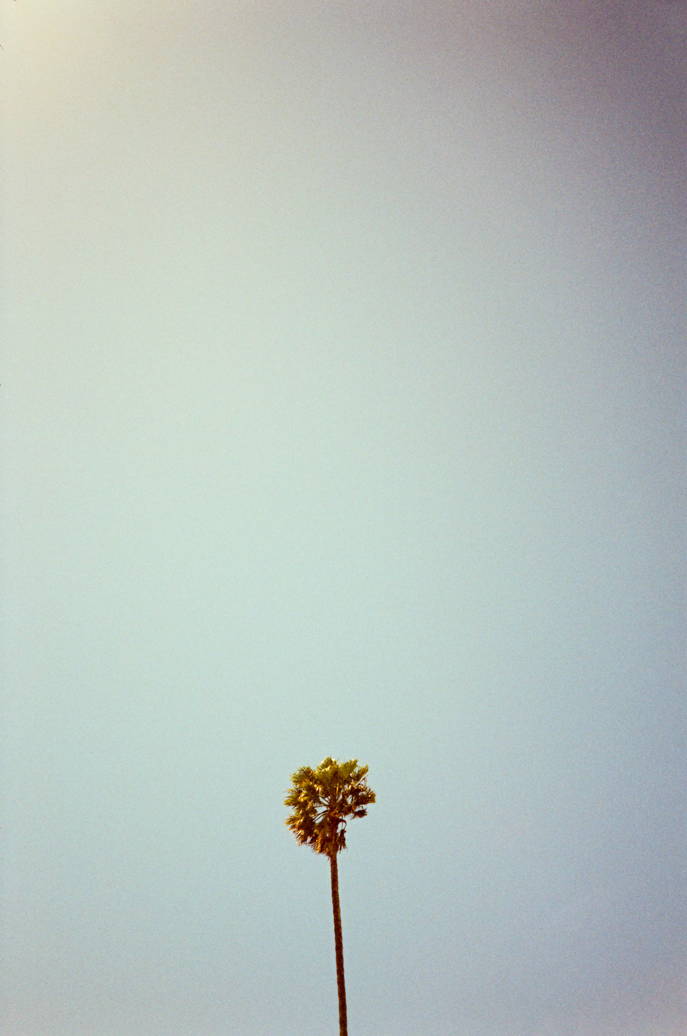 i guess we just go get 'em - Image 131