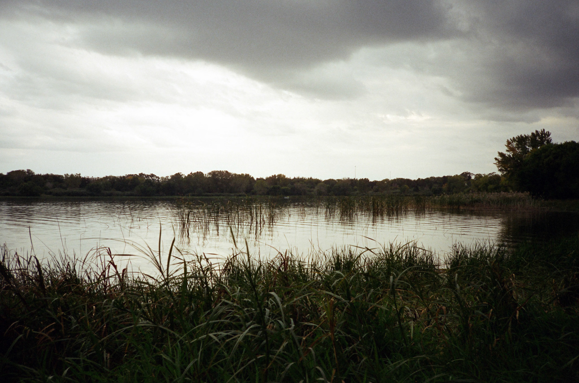 when the money goes, will the honey stay? - Image 9