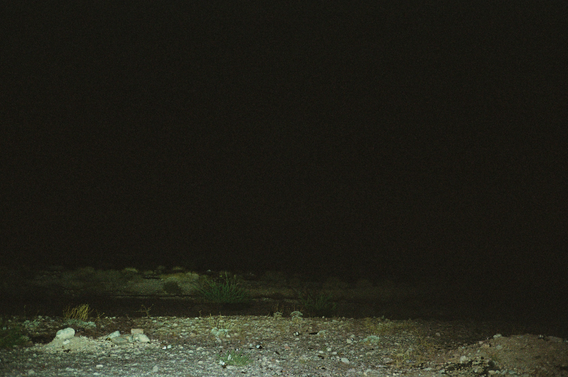 gone with the wind - Image 29