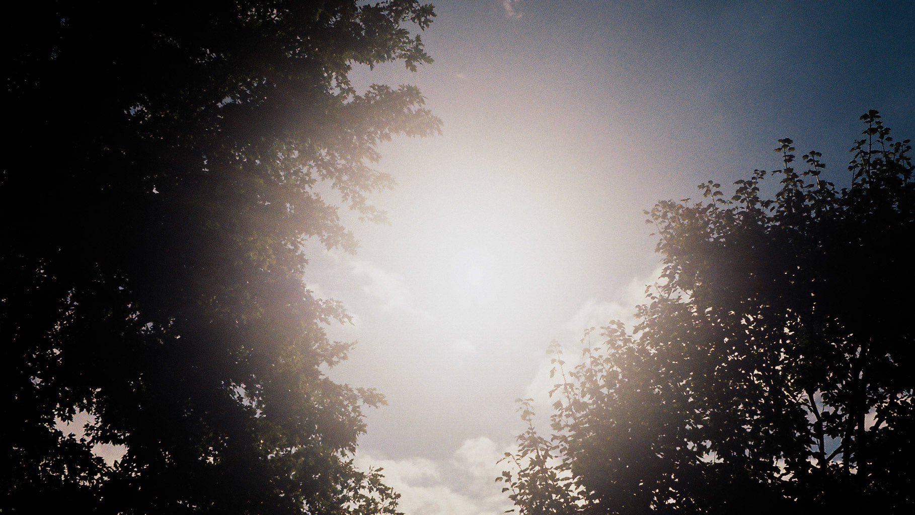 hands in the air if you made it - Image 57