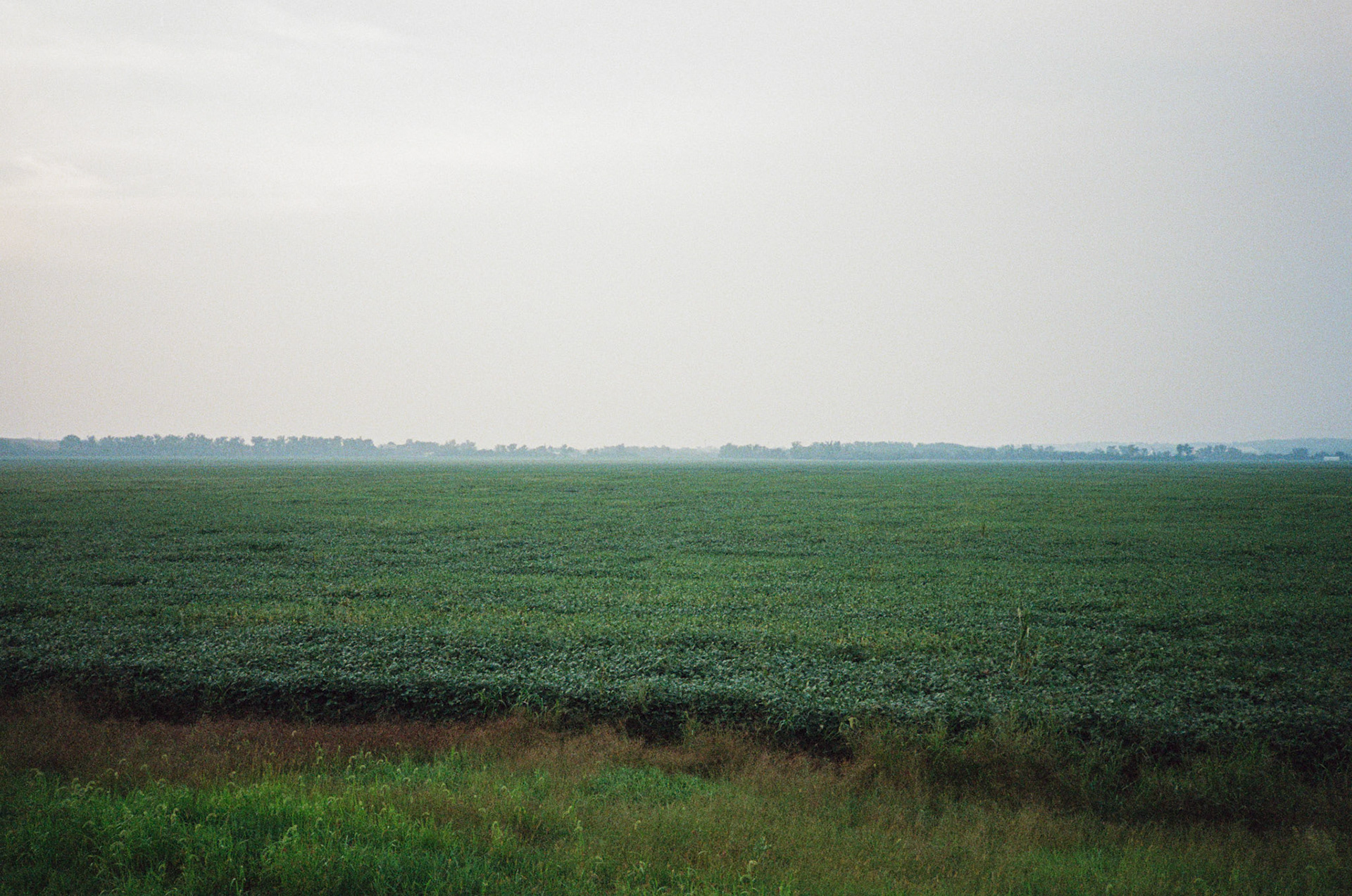 they'll never take the joy from us - Image 4