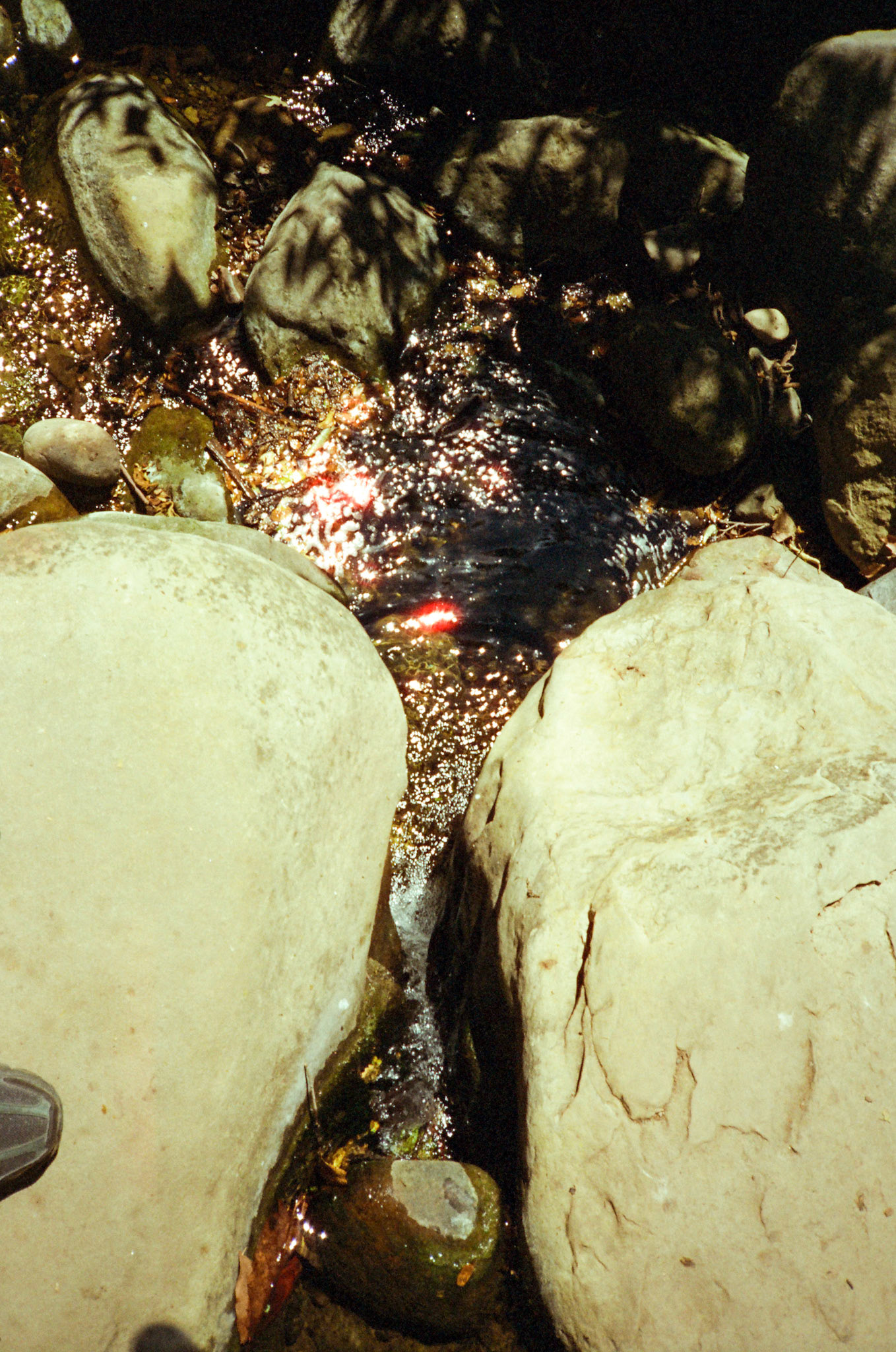 i guess we just go get 'em - Image 123