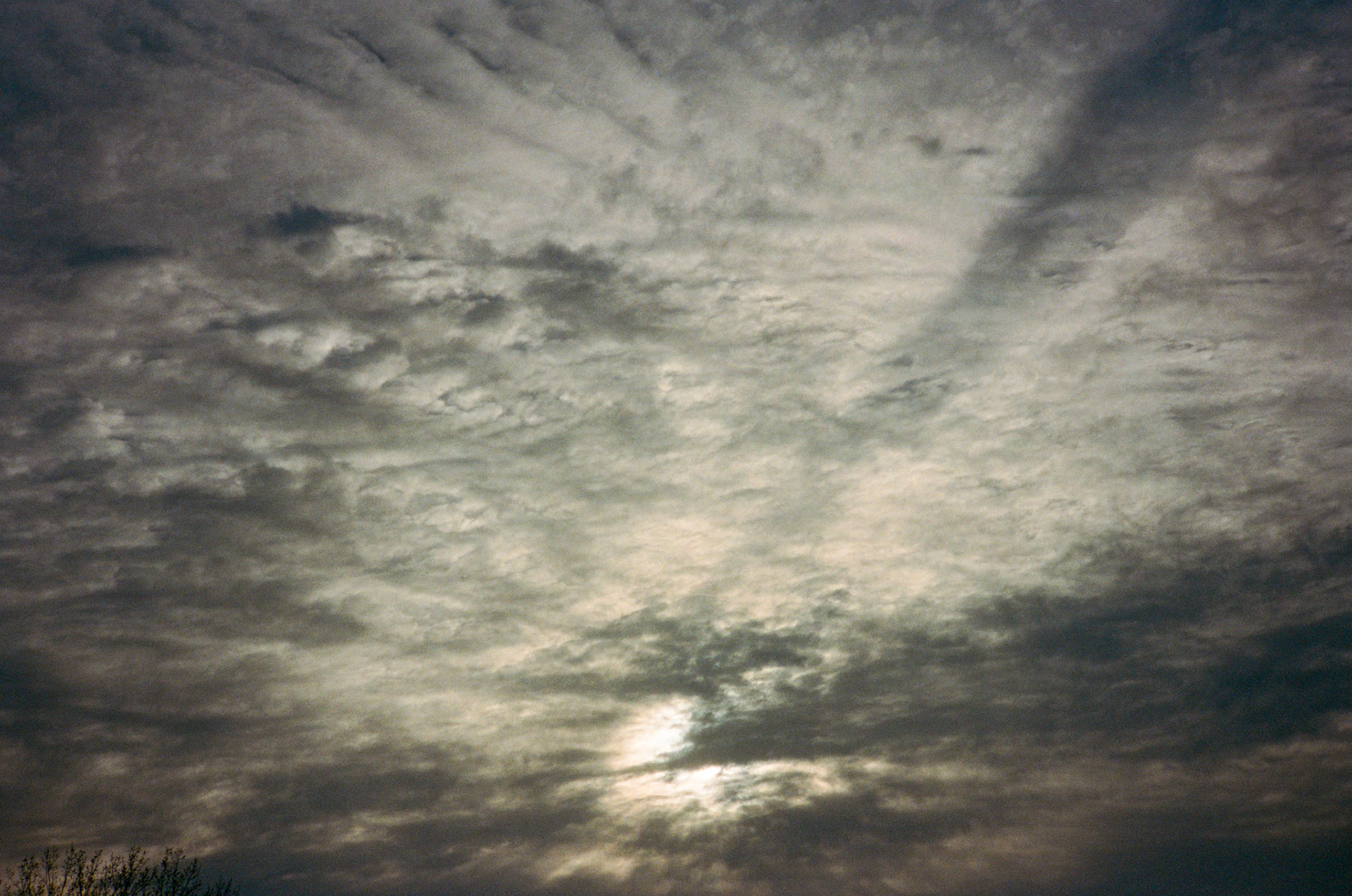 i guess we just go get 'em - Image 78