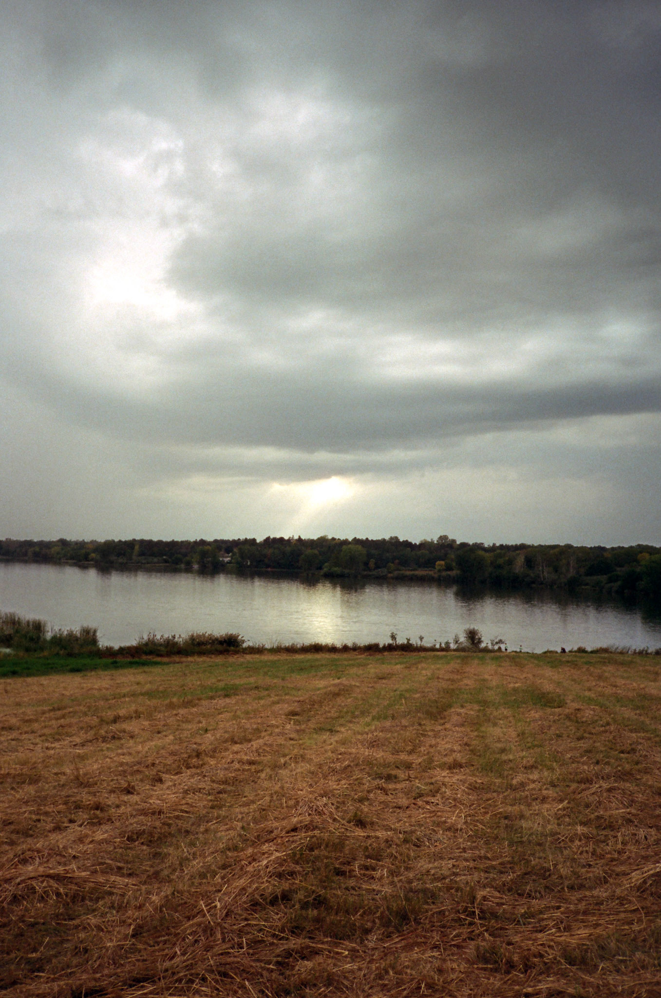 when the money goes, will the honey stay? - Image 94