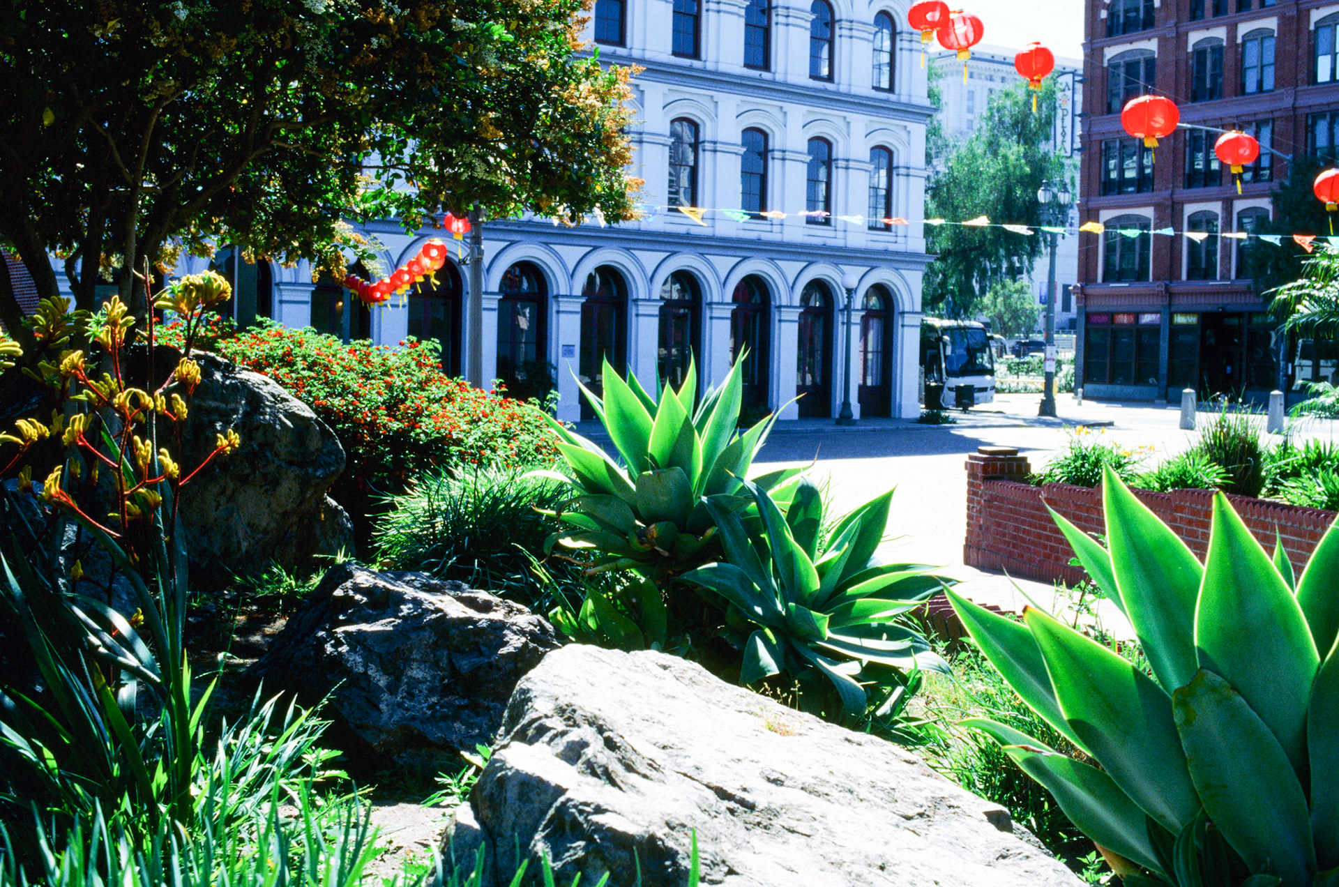 i guess we just go get 'em - Image 15