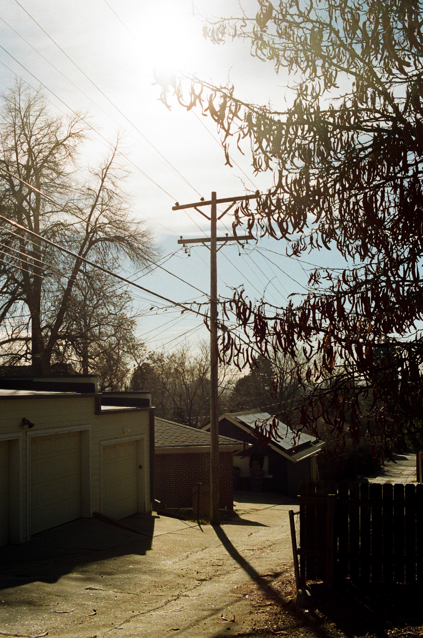 when the money goes, will the honey stay? - Image 98