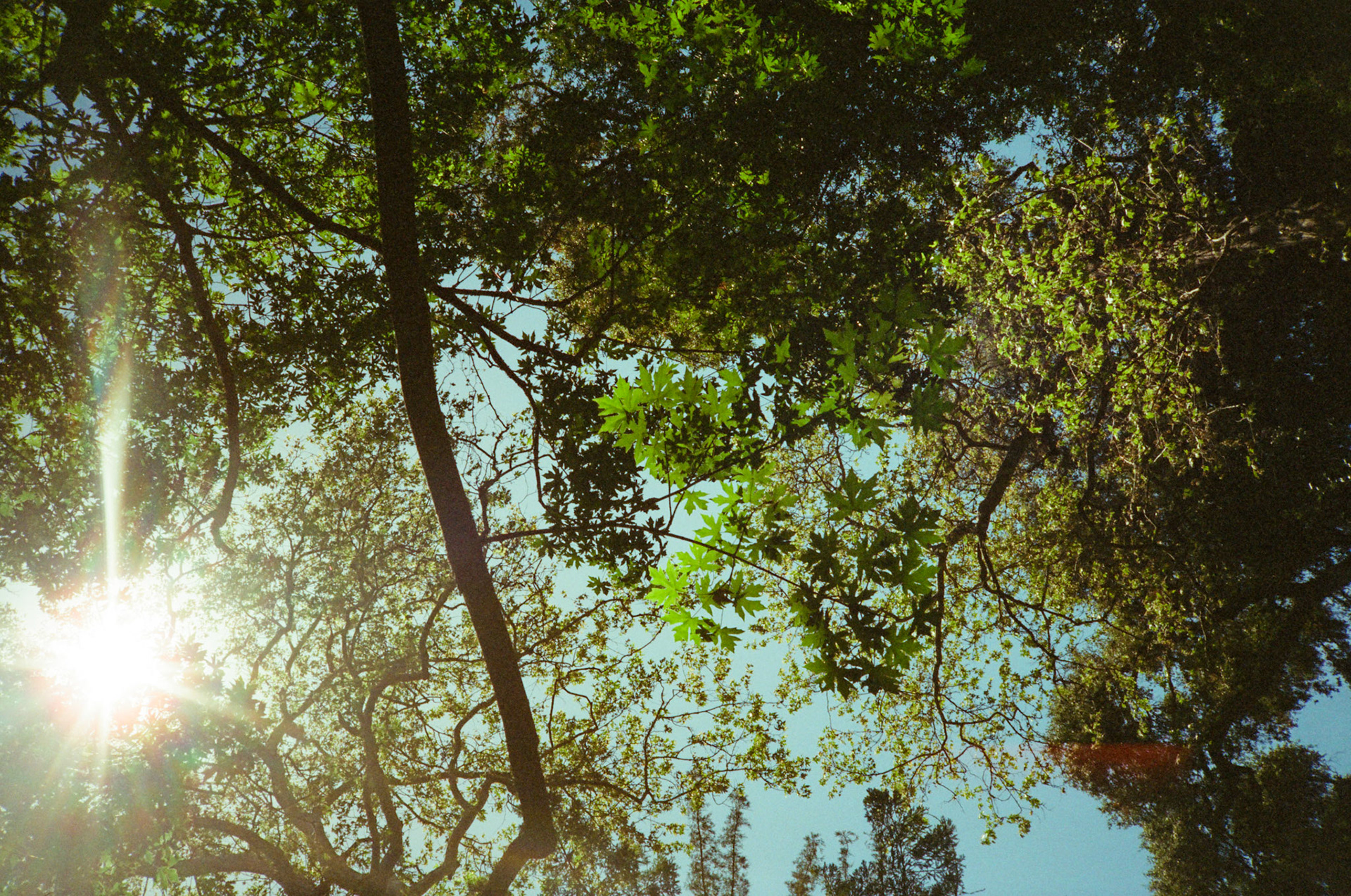 i guess we just go get 'em - Image 73