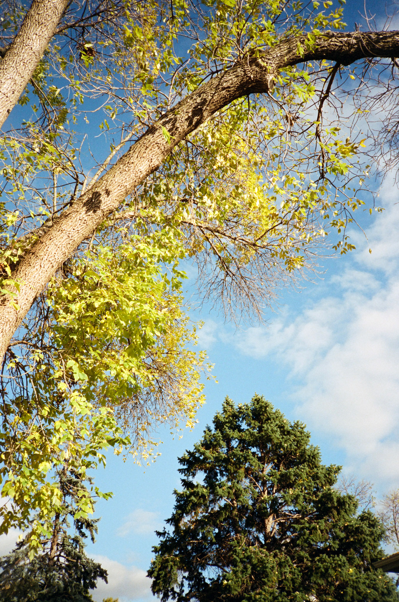 when the money goes, will the honey stay? - Image 90