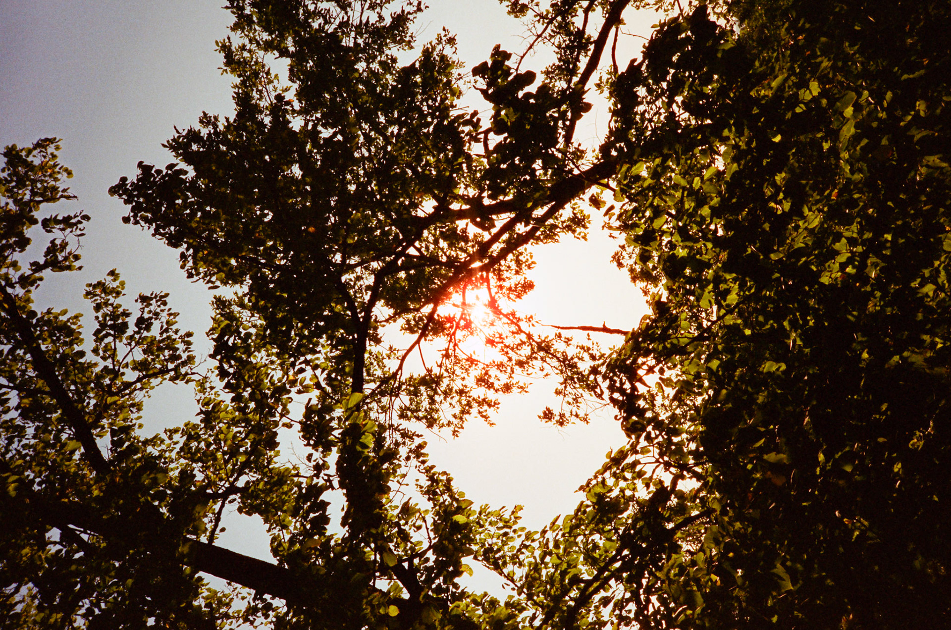 when the money goes, will the honey stay? - Image 27