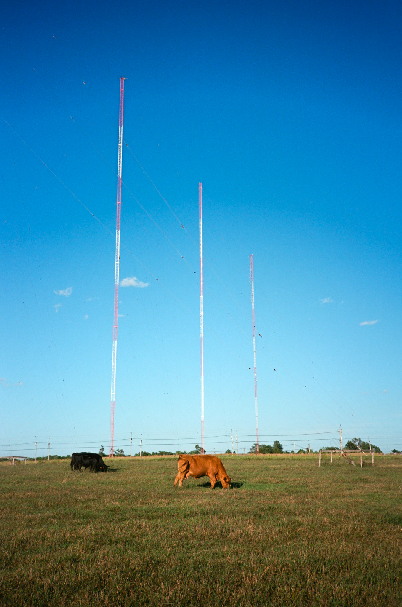 run to the sun - Image 38