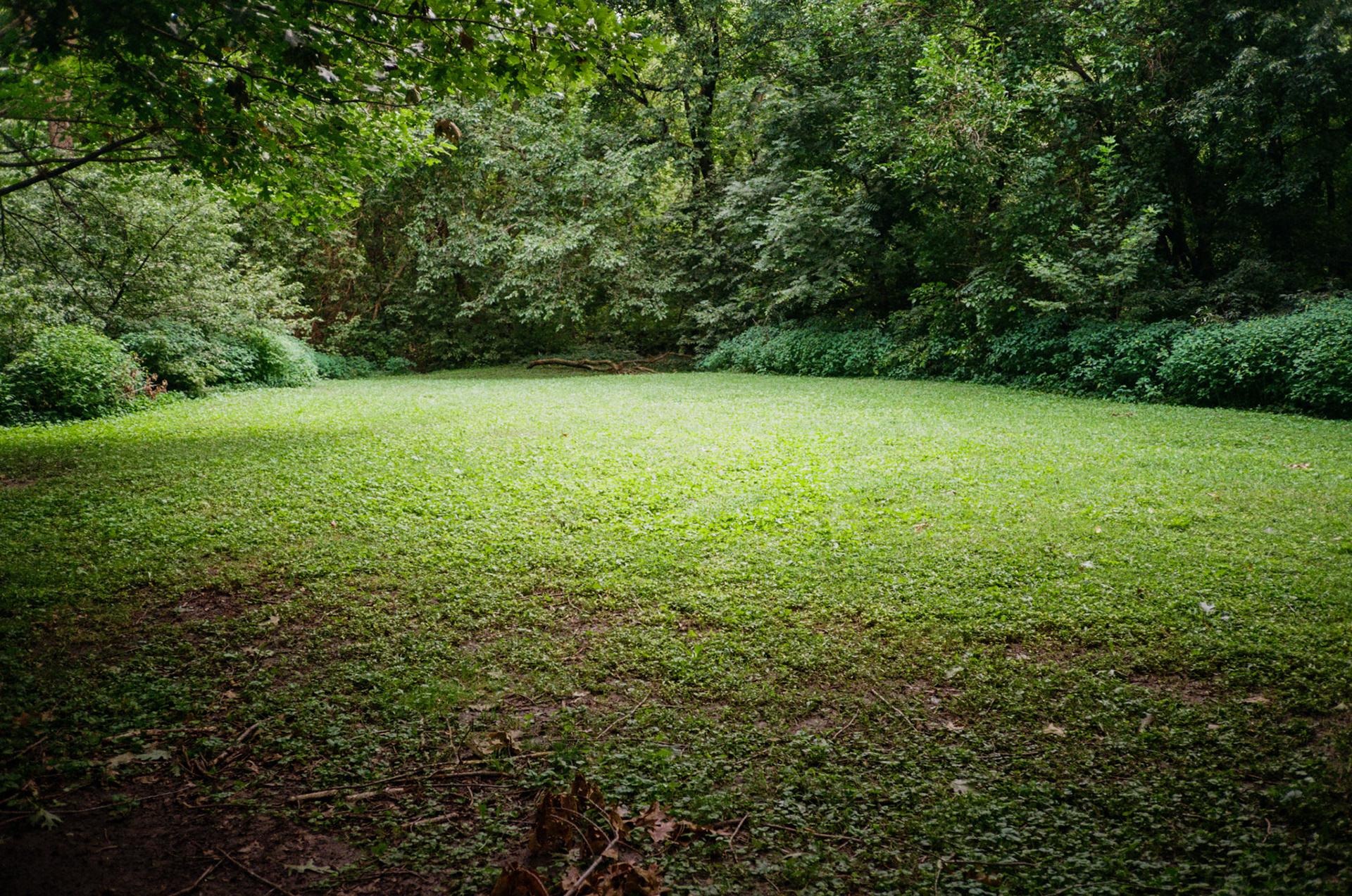 how fast can it go? - Image 25