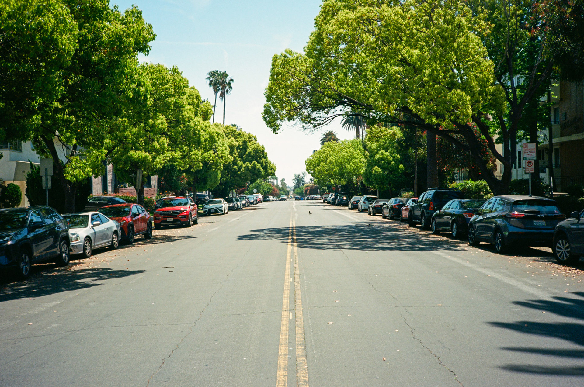 i guess we just go get 'em - Image 69