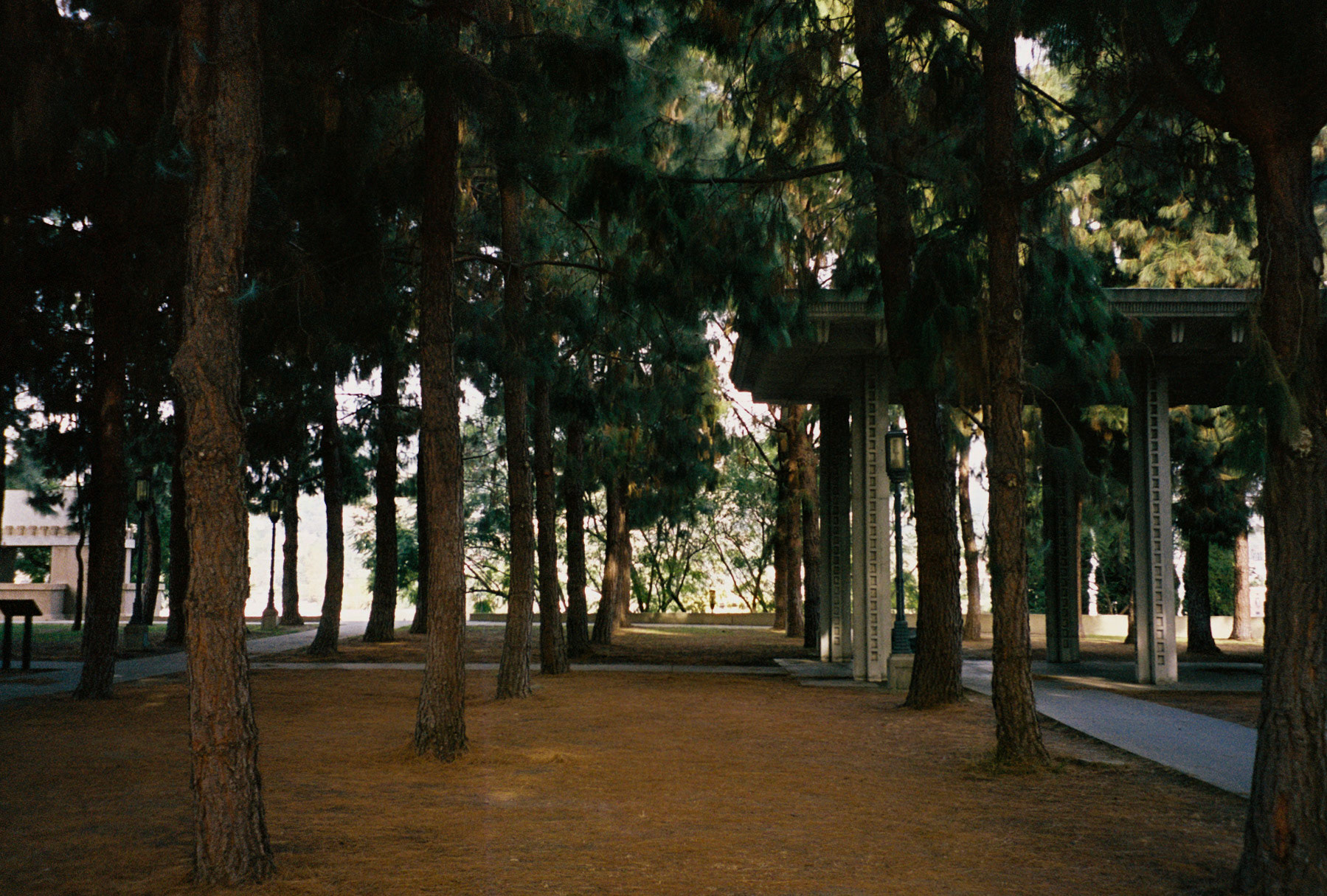 take me all the way - Image 22