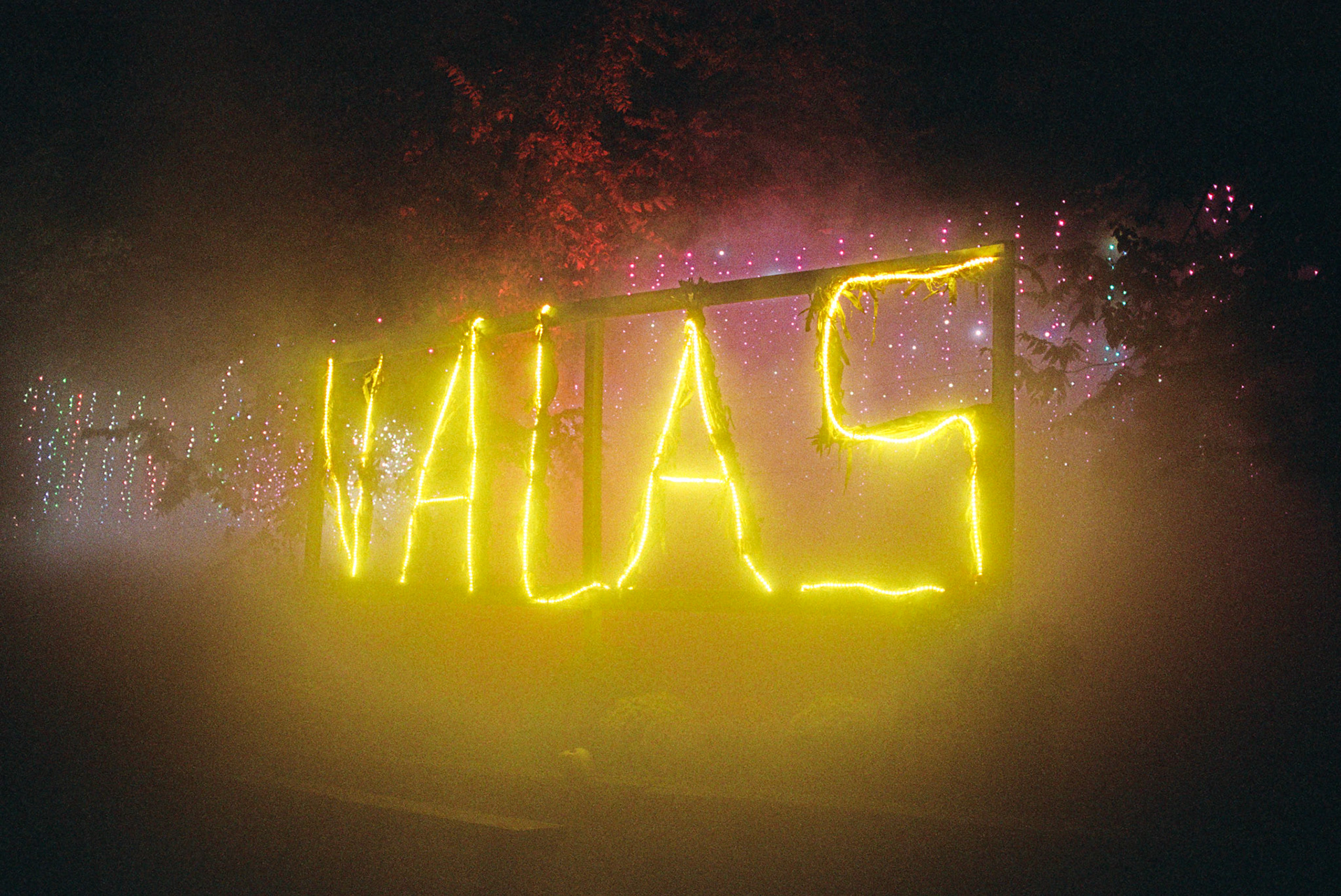 when the money goes, will the honey stay? - Image 13