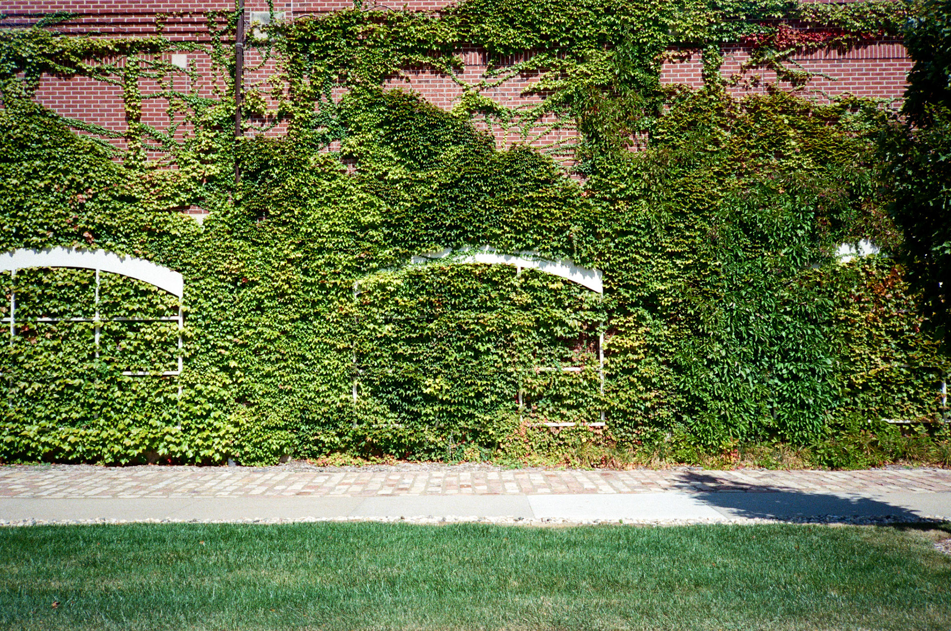 they'll never take the joy from us - Image 15