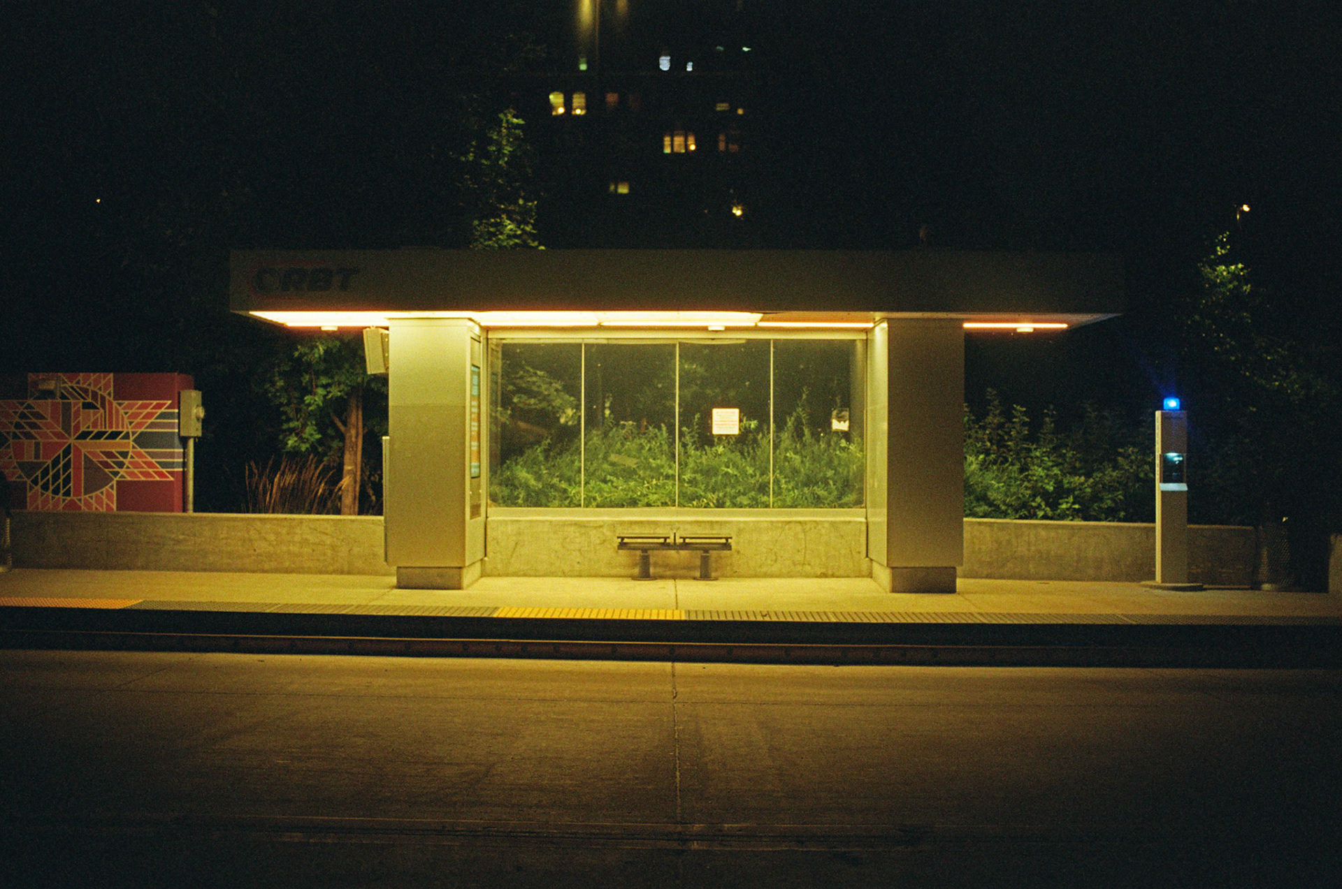 they'll never take the joy from us - Image 39