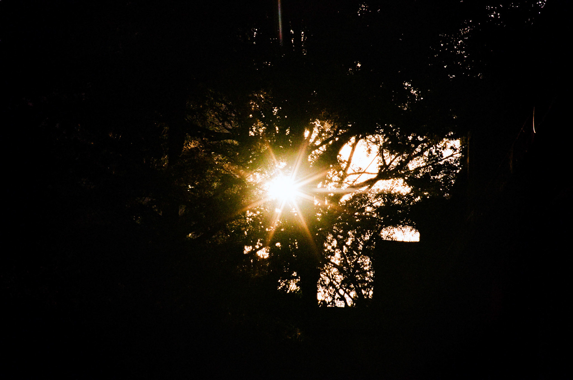 how fast can it go? - Image 9