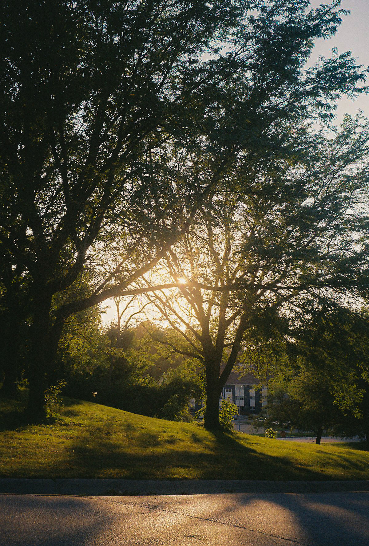 hands in the air if you made it - Image 75