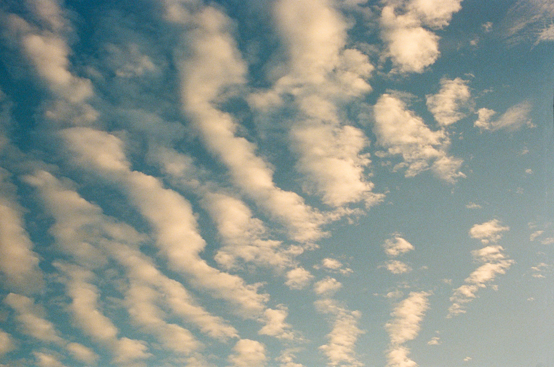 when the money goes, will the honey stay? - Image 73