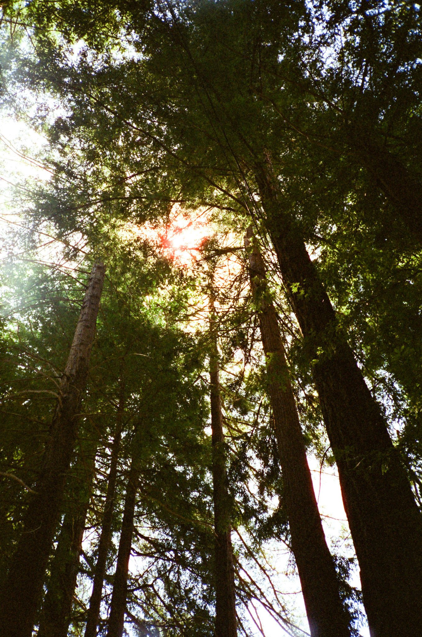 i guess we just go get 'em - Image 134