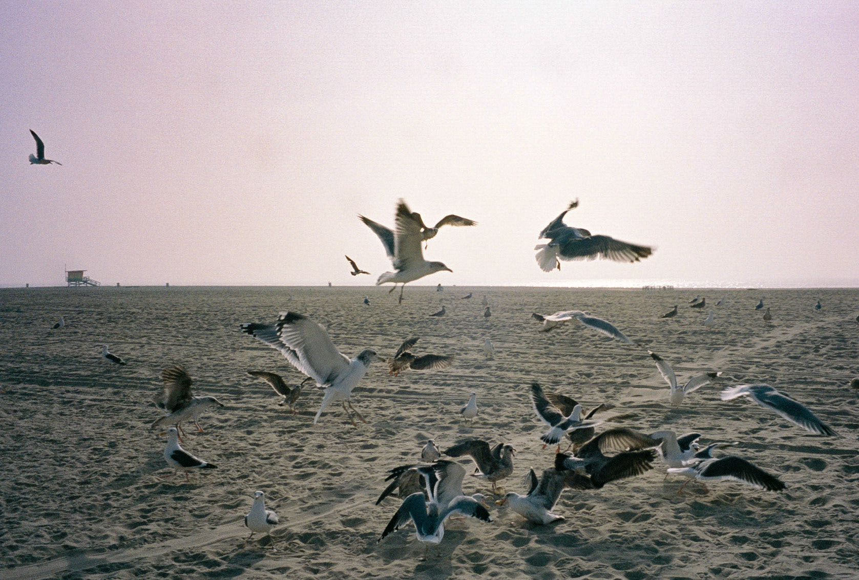 take me all the way - Image 10