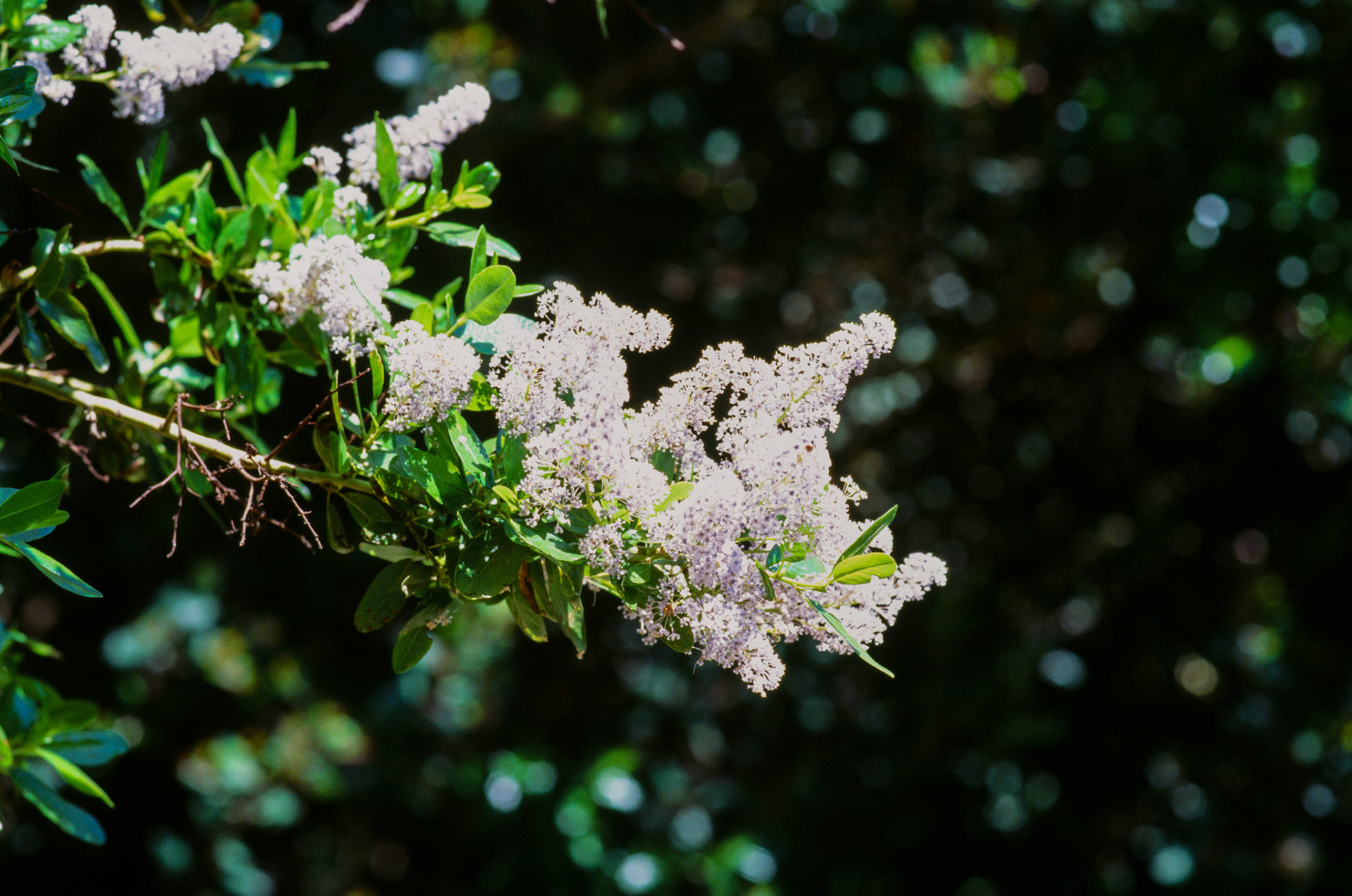 i guess we just go get 'em - Image 87