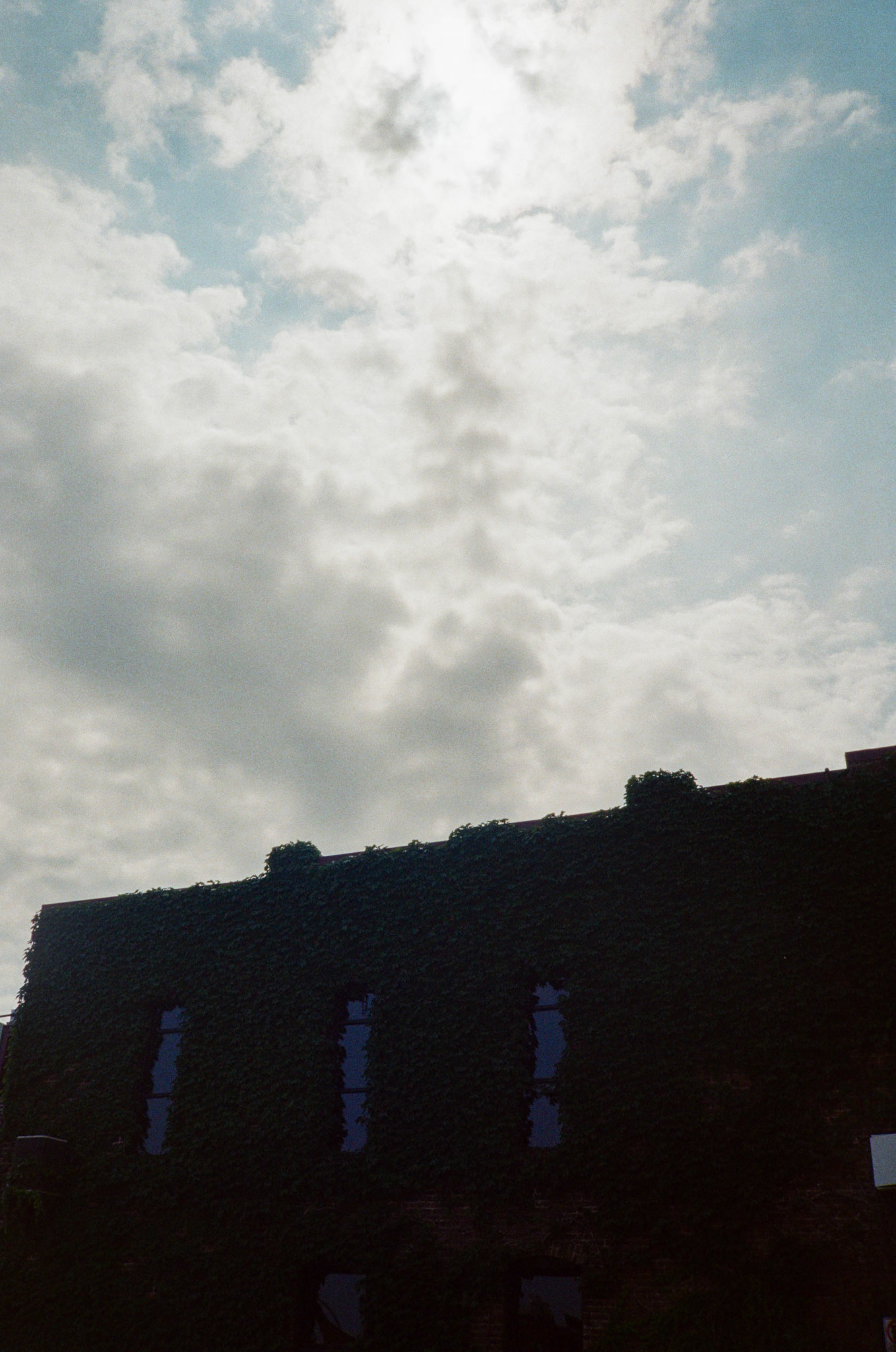 they'll never take the joy from us - Image 54