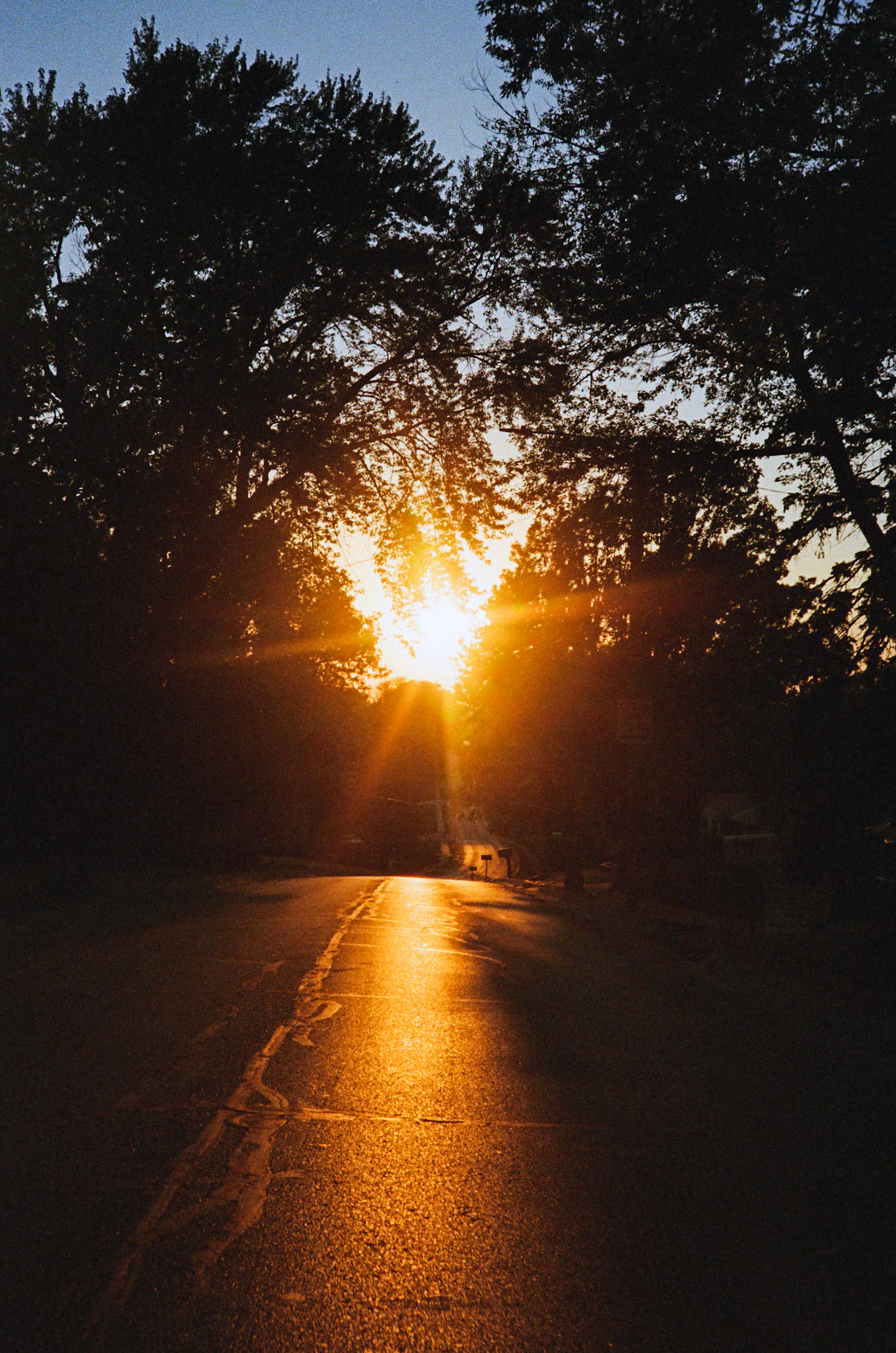 they'll never take the joy from us - Image 48